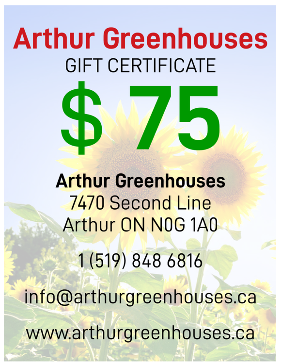 Arthur Greenhouses - $75 Gift Certificate